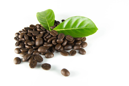 Coffee grains and leaves.の写真素材