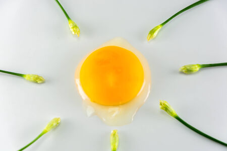 Egg with chinese chives on white , fine art conceptの写真素材