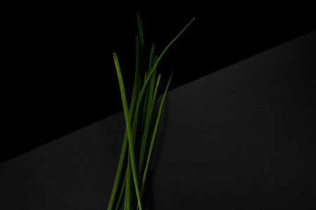 Simple and minimal bunch of vibrant green chives isolated on a two toned black backgroundの写真素材