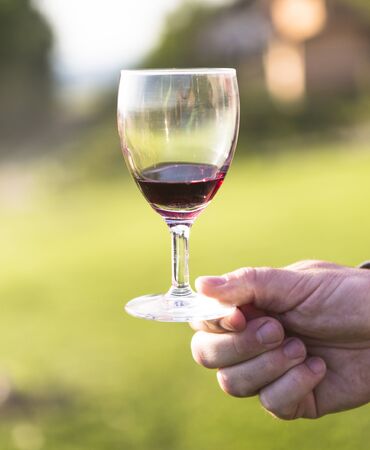 Man holding a glass of wineの写真素材