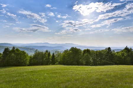 Susnet over forrest and grass fieldの写真素材