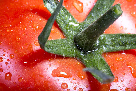 Fresh tomato directly from marketの写真素材