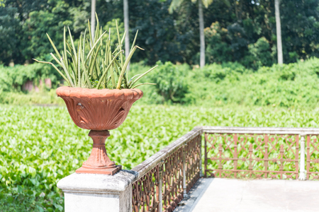 Natore, Bangladesh - September 29, 2015: Uttara Gano Bhaban also known as The Maharaja's Palace or Dighapatia Palace is a historic, formerly royal palace in Natore, Bangladesh. It was built by the Raja of Dighapatia. In the north bengal, it serves as an oのeditorial素材
