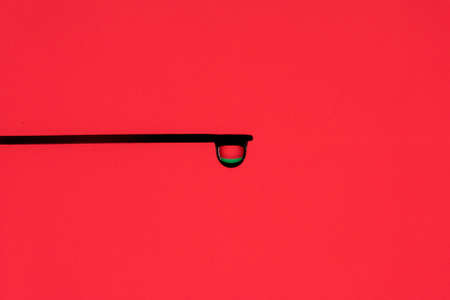 belarus colorful country flag in macro viewの写真素材