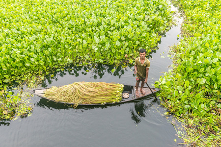 Munshigonj, Bangladesh - July 29, 2016: Bangladeshi farmer sitting on a boat, picking water lily  in...