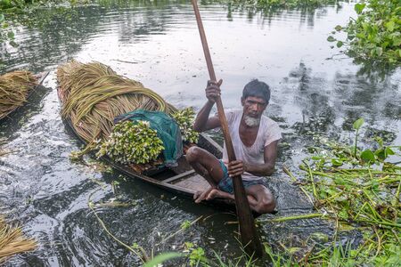 Munshigonj, Bangladesh - July 29, 2016: Bangladeshi farmer sitting on a boat, picking water lily  in munshigonj, bangladesh on July 29, 2016のeditorial素材
