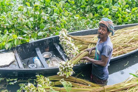 Munshigonj, Bangladesh - July 29, 2016: Bangladeshi farmer sitting on a boat, picking water lily  in munshigonj, bangladesh on July 29, 2016のeditorial素材