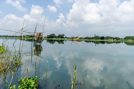 Green nature landscape in day timeの写真素材