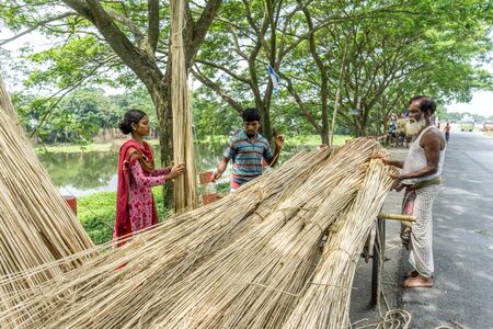 Dhaka, Bangladesh - AUG 26, 2016 : Unidentified people are processing jute on August 26, 2016 in Dhaka, Bangladeshのeditorial素材