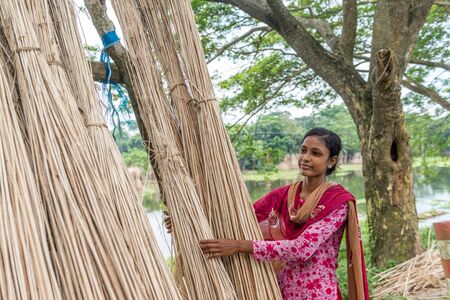 Dhaka, Bangladesh - AUG 27, 2016 : Unidentified people are processing jute on August 27, 2016 in Dhaka, Bangladeshのeditorial素材