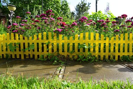 Yellow picket fence with pretty flowers in a yard.の写真素材