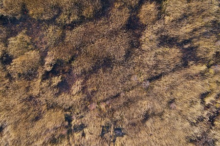Aerial view of agricultural field with high grass.