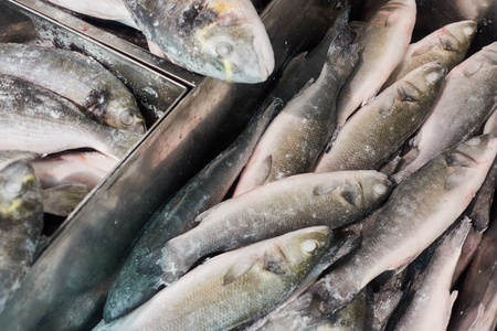 Frozen fish in the refrigerator grocery store.の写真素材