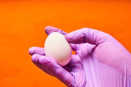 A man's hand in a blue glove holding a chicken egg.
