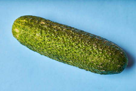 Green cucumber on blue background. Top view.の写真素材