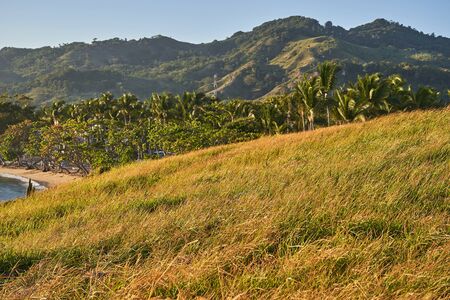 Seascape. Ocean coast with grass, mountains and beach in the background.の写真素材
