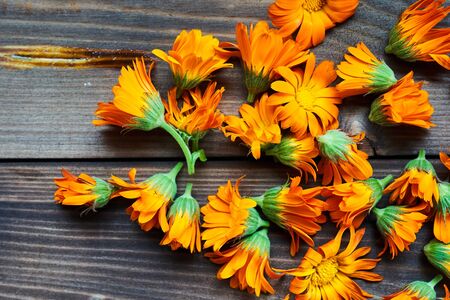 Calendula flowers laid out on a wooden background. Calendula officinalis medicinal plant petals - healthy concept.の写真素材