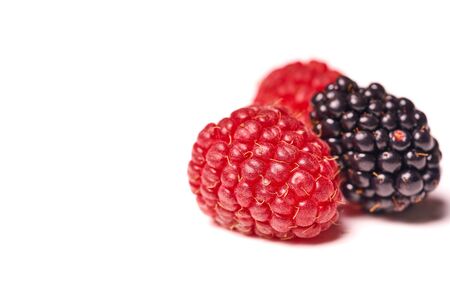 Raspberries and blackberries isolated on white background.の写真素材