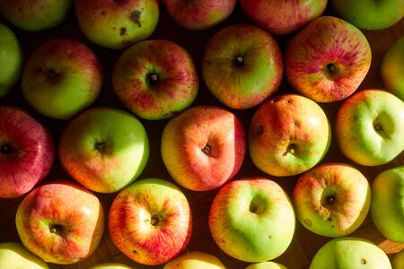Background of many ripe apples on the floor.
