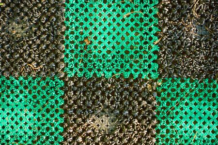 Street Mat made of plastic with colored squares.