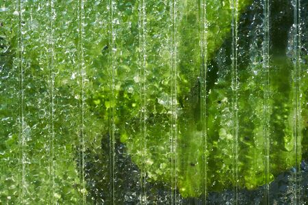 Transparent polycarbonate sheet with morning dew drops. Abstract background.