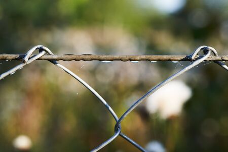 Metal mesh fence with dew drops in the early morning.の写真素材
