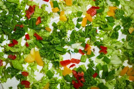 Salad of fresh vegetables with herbs. Healthy food, fresh vegetable background.の写真素材