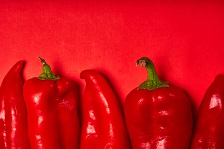Red peppers in a row on a red background. Conceptual background with food.の写真素材