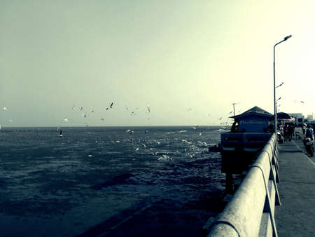 Bangpu thailandの素材