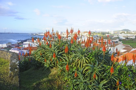 Island of San Miguel Azoresの写真素材