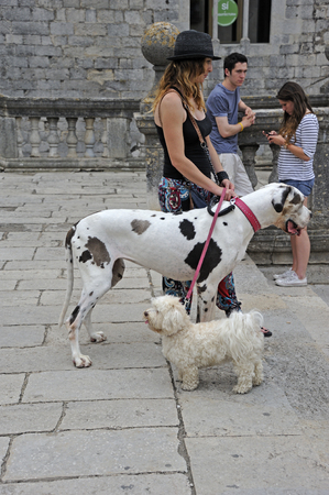 Dog walker in old city of Girona, Spainのeditorial素材