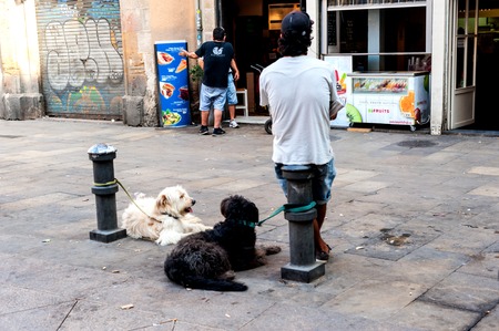 Tossa de Mar, Spain - August 6, 2014: Street scene in the town of Tossa de Mar, Costa Bravaのeditorial素材