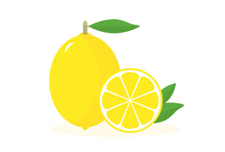 Fresh Yellow lemon with Green Leaves. Whole and Cut in half or Slice Vector Illustration Set.のイラスト素材
