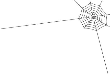 Hanging spider web on white background. Simple and stylish Halloween, horror concept.のイラスト素材