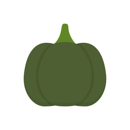 Green kabocha or squash or pumpkin isolated on white background. Solid flesh and hard skin vegetable Winter squash, Cucurbita pepo.のイラスト素材