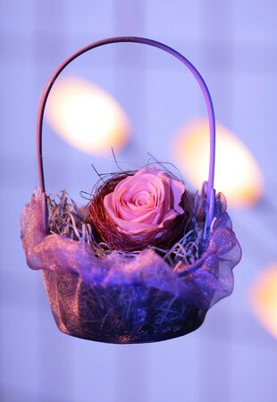 Flower in the nestの写真素材