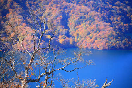 Autumn's Beautyの写真素材