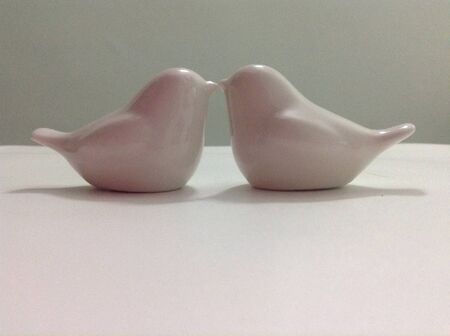 Porcelain lovebird figurinesの素材