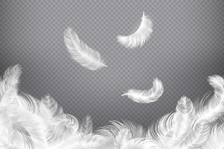 White feather background. Closeup bird or angel feathers. Falling weightless plumes. Dream vector illustrationのイラスト素材