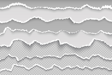 Rip paper page. Torn page transparent grunge border, broken white cardboard, rough damaged scrapbook texture. Vector scrap paper texturaのイラスト素材