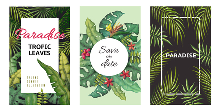 Tropical leaves posters. Jungle plants summer flyers, banana palm leaf pattern, foliage design. Vector palm leaf botanical style poster setのイラスト素材
