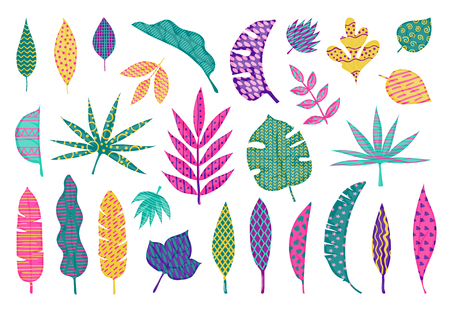 Abstract tropical leaves. Leaf summer tribal elements, trendy abstract palm leaves, modern floral design elements. Vector hand creative illustration leaf setのイラスト素材