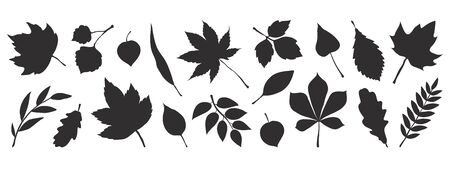 Black autumn leaves. Decorative fall elements isolated on white background. Vector illustration foliage silhouettes for greeting vintage cards and postersのイラスト素材