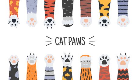 Cat paws. Hand drawn funny puppies and kittens claws and foots, wild animals and pets paws. Vector doodle illustrations cartoon dog foot with claws set for icon dangerous animal on whiteのイラスト素材