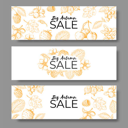 Autumn sale banner set. Voucher, offer or coupon with hand drawn leaves and berry. Vector image horizontal leaflets with natural backgroundsのイラスト素材