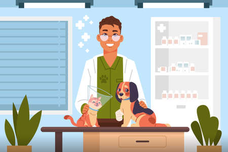Vet examine. Cartoon veterinary doctor in clinic heals cute cats and dogs, hospital for domestic animals, consulting office interior, vector scene with puppy and kitten healthcare flat illustrationのイラスト素材