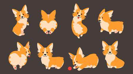 Corgi characters. Domestic pet cartoon animal in different poses, cute and funny puppy with various emotions, dog plays with red ball, isolated stickers illustration vector set on dark backgroundのイラスト素材