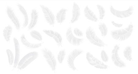 White feathers. Realistic 3D fluffy bird plume in different angle, feather heaven decor elements. Symbol of lightness and softness vector isolated on white background set of goose, angel or swan quillのイラスト素材