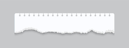 Torn notebook page. Realistic ragged sheet of notepad. Isolated blank fragment for writing. Ripped note paper with perforated edge and copy space.のイラスト素材