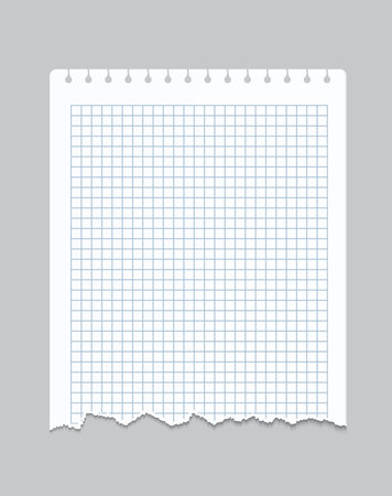 Torn notebook page. Realistic checkered sheet of paper with perforated and ragged edges. Isolated blank square notepad fragment for drawing or writing.のイラスト素材
